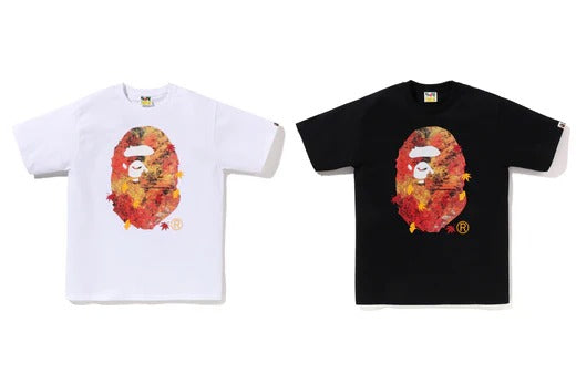 JAPAN AUTUMN PHOTO APE HEAD TEE