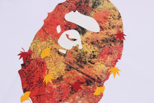JAPAN AUTUMN PHOTO APE HEAD TEE