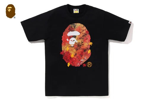 JAPAN AUTUMN PHOTO APE HEAD TEE